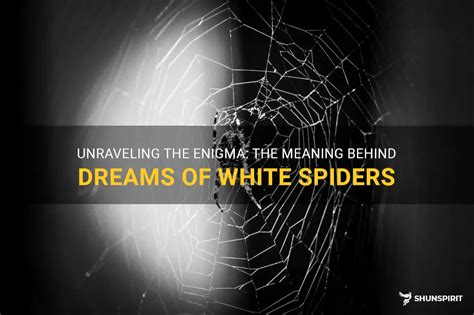 Deciphering the Enigmas of Spider Dreams