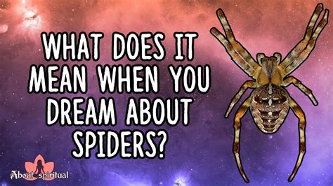 Deciphering the Hidden Meanings: Decoding Tarantula Spider Dreams