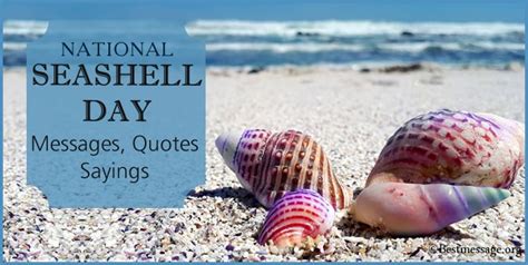 Deciphering the Language of Seashells: Disentangling Veiled Messages