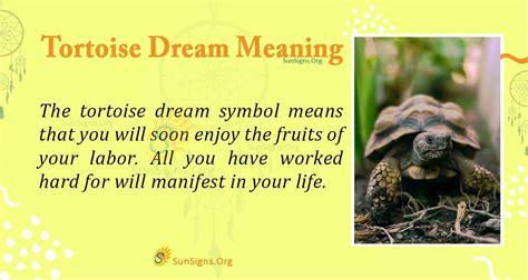 Deciphering the Message of a Swift Tortoise in Your Dreams