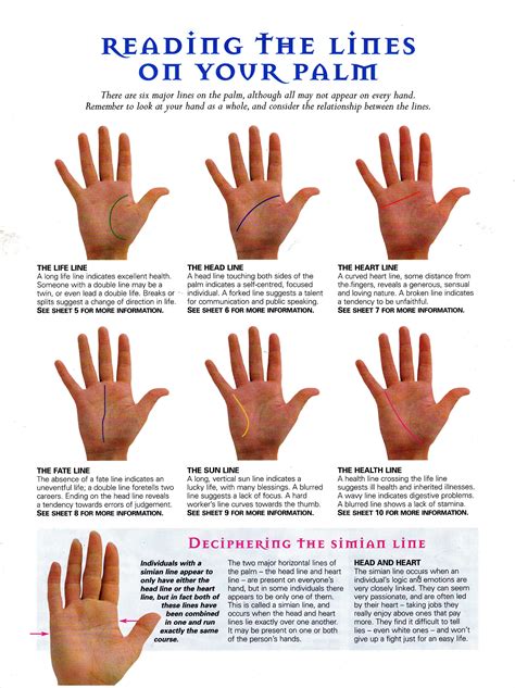 Deciphering the Patterns: Unraveling the Meaning of Each Crease on Your Palm