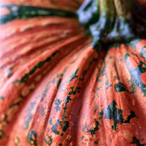 Deciphering the Psychological Significance: Unveiling the Insights into Pumpkin Dreams