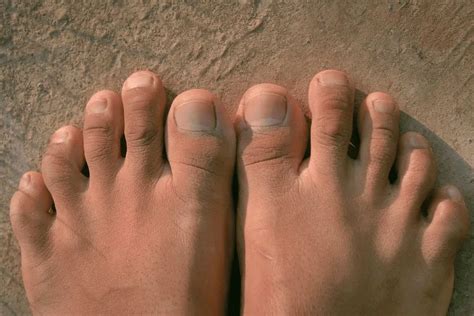 Deciphering the Significance: Exploring the Symbolic Representation of the Toe