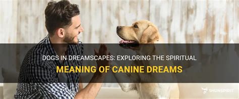 Deciphering the Significance of Canine Nipping in Dreamscapes