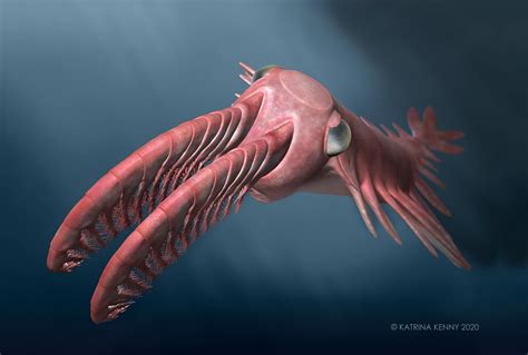 Deciphering the Significance of the Vision of Crimson Soaring Marine Creatures