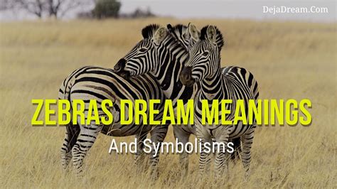 Deciphering the Significance of the Zebra as a Symbol in Dreams