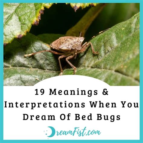 Deciphering the Symbolism of Myriad Insects in our Dreams