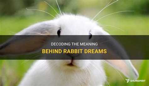 Decoding Dream Symbolism: The Rabbit