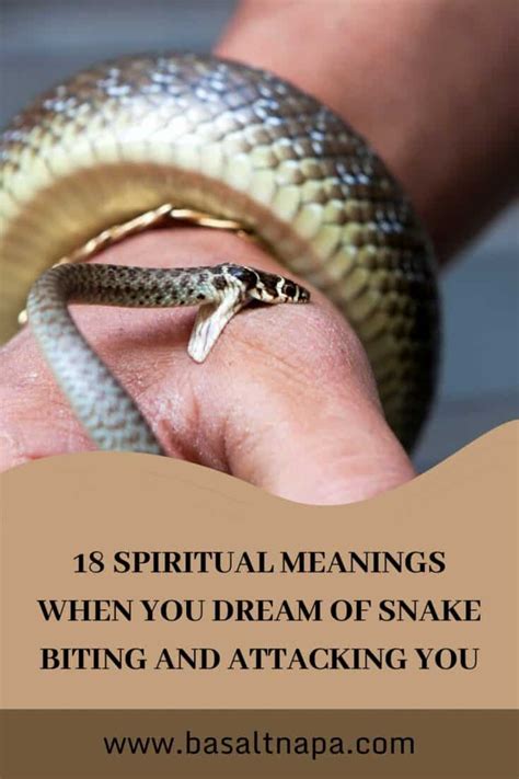 Decoding Interpretations of Dreams with Attacking or Biting Serpents