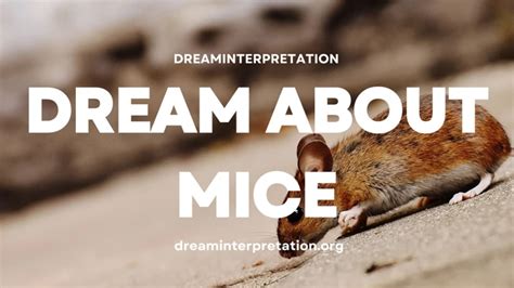 Decoding Mice Dreams: Understanding the Psychological Interpretation