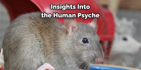 Decoding Rat Search Dreams: Gaining Insights into Your Inner Psyche