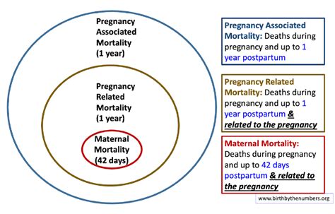 Decoding Repeating Motifs in Visions of a Deceased Maternal Figure