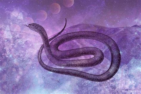 Decoding Serpent Visions: Illuminating Snake Symbolism across Cultures