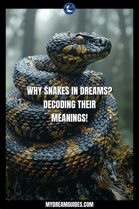 Decoding Snake Dream Symbols: Digging Deeper