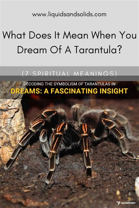 Decoding Varied Meanings of Tarantula Dreams