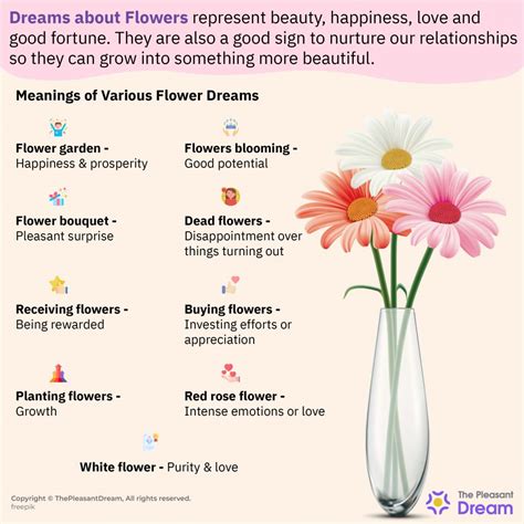 Decoding Various Categories of Purifying Dreams