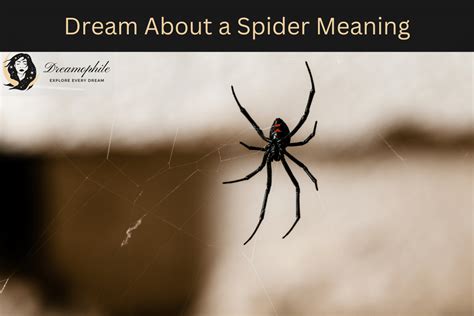 Decoding Various Scenarios of Arachnids' Pursuit in Dreams