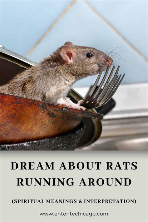 Decoding and Analyzing Your Rat Head Dream: Unveiling the Hidden Meanings