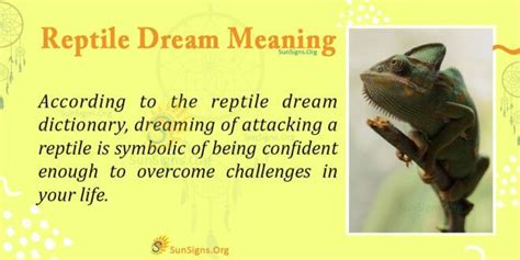 Decoding the Aquatic Adventures of the Slow-moving Reptile through Interpretation of Hindi Dream Analysis