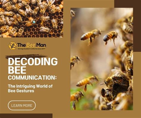 Decoding the Communication Systems of Bee Colonies