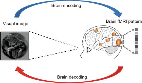 Decoding the Emotional Reaction to the Vision