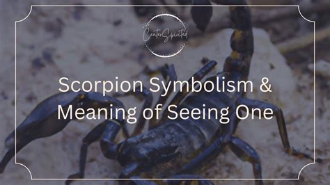 Decoding the Enigma: Exploring the True Significance of the Enigmatic Scorpion's Tail Symbolism