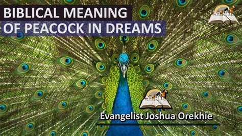 Decoding the Enigmatic Messages of the Majestic Peacock in Dreams and Visions