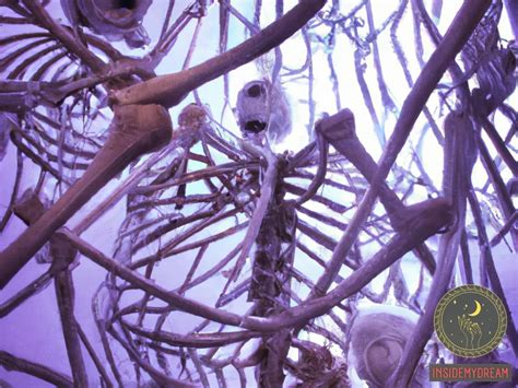 Decoding the Enigmatic Significance of Bones in Dreams