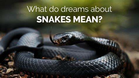 Decoding the Fear Factor: Why Snakes Appear in Our Dreams