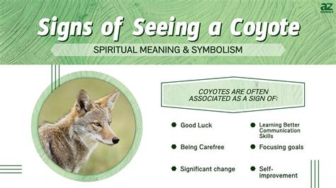 Decoding the Hidden Meanings in Visions of a Coyote Pack