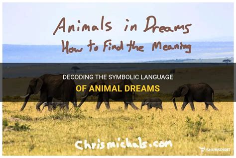 Decoding the Hidden Meanings of Animal Dreams