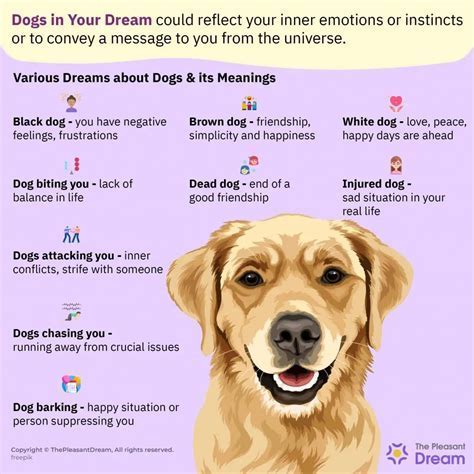 Decoding the Hidden Messages: Unraveling the Significance of Petting a Canine Companion in a Dream