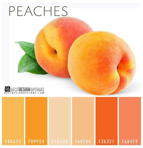 Decoding the Hues: Unraveling the Significance of Peaches' Colors in Oneiric Visions