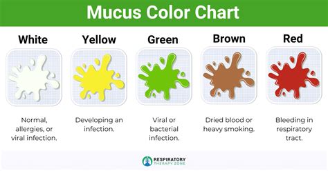 Decoding the Meaning: Analyzing the Hue of Mucus within Dreamscapes