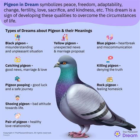 Decoding the Meaning Behind Dreams Portraying the Demise of Pigeons