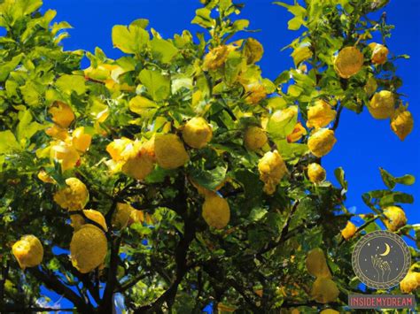 Decoding the Meaning Behind Lemon Harvest Dreams