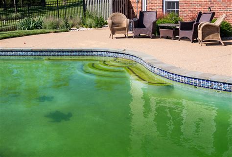 Decoding the Meaning of a Murky Pool