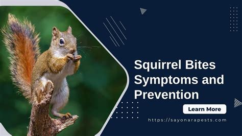 Decoding the Message: Unraveling the Symbolism of Squirrel Bites