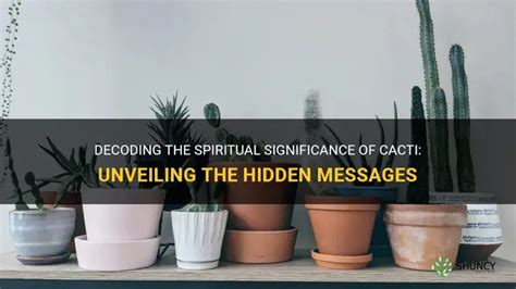 Decoding the Message Behind Cactus Dreams