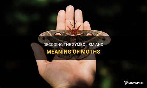 Decoding the Significance behind the Moth Pursuing You