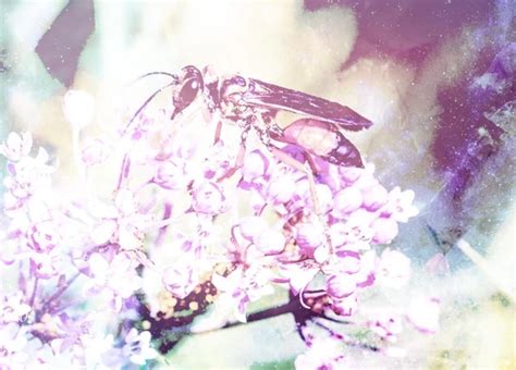 Decoding the Significance of Being Stung by a Wasp in a Dream