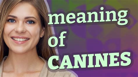 Decoding the Significance of Canines: Analyzing the Deeper Meanings