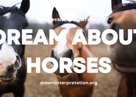 Decoding the Significance of Dreaming About a Wounded Equine Companion