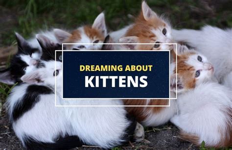 Decoding the Significance of Dreaming about Kittens