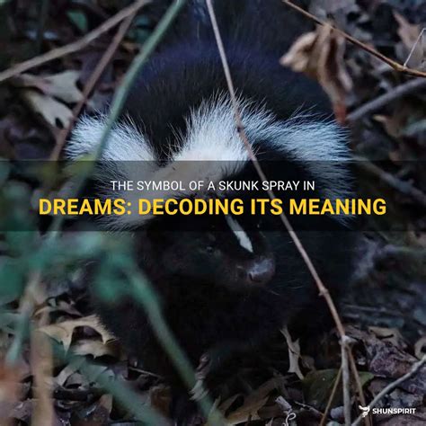 Decoding the Significance of Encountering a Skunk's Presence in your Dreams