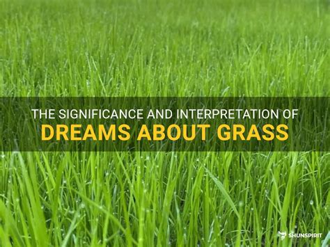 Decoding the Significance of Grass in the Realm of Dream Psychology