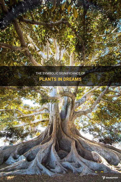 Decoding the Significance of Plant Dreams: Unraveling Symbolic Meanings