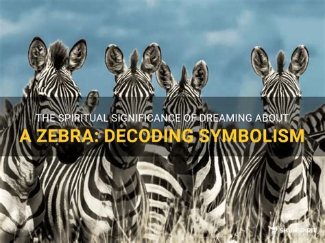 Decoding the Significance of Zebra Symbolism in Dreams: Insights into Your Psyche