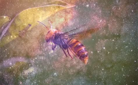 Decoding the Significance of a Hornet Sting in Your Dreams: Insights from an Expert 