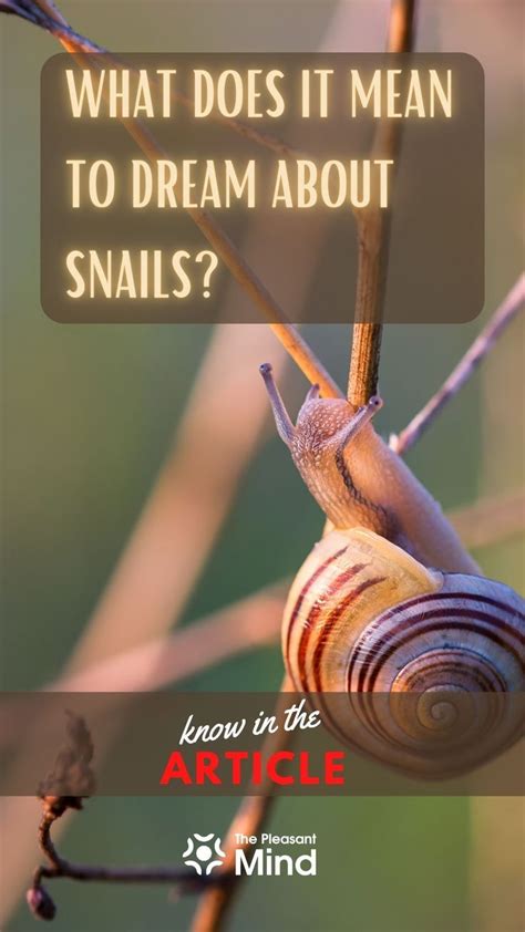 Decoding the Significance of the Abundance of Snails in Dreamscapes